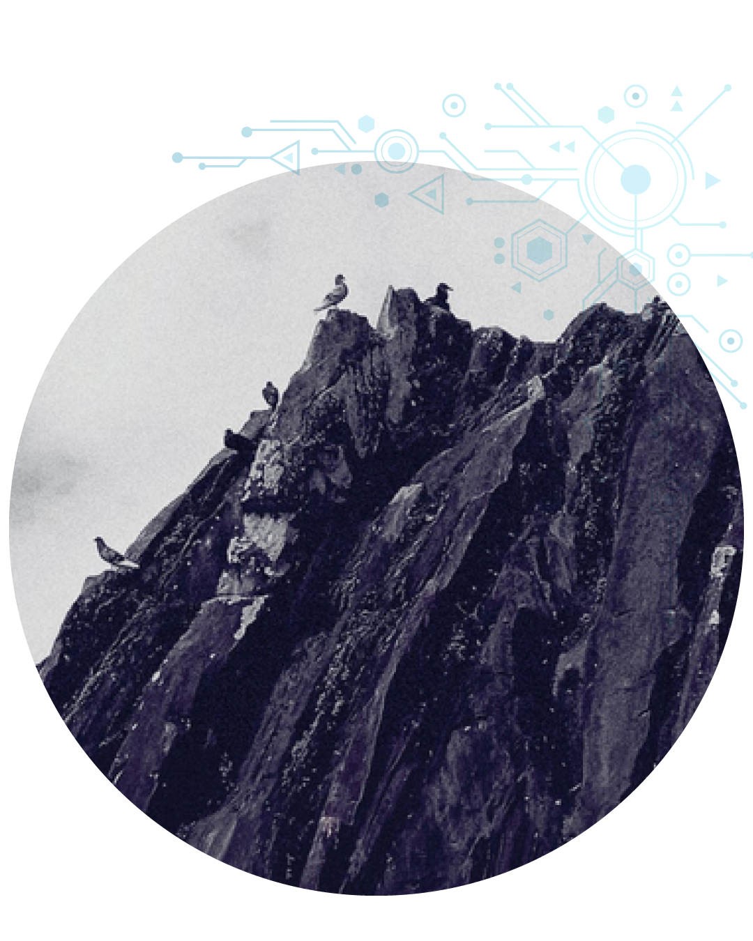 pedra-pombos-circuitos